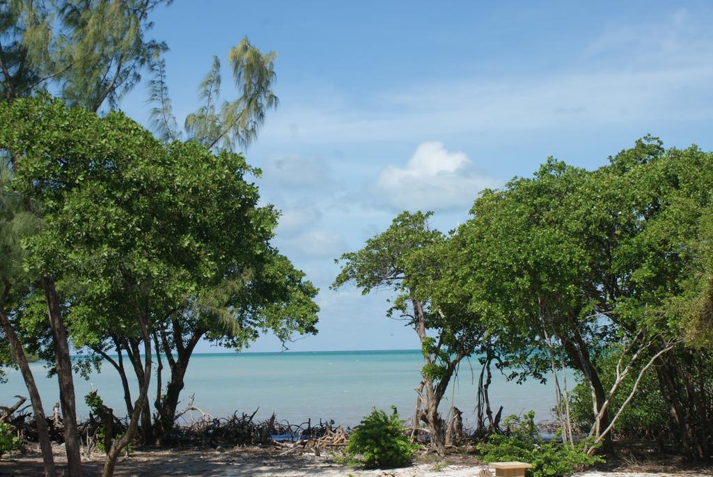Bonita'S Lejlighed Caye Caulker Værelse billede