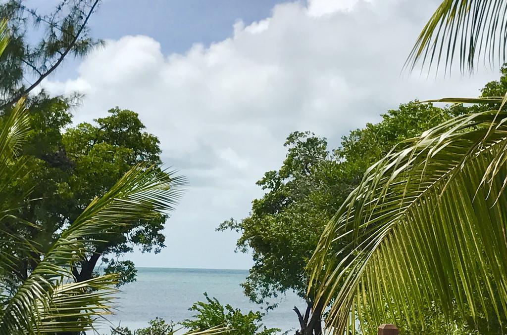 Bonita'S Lejlighed Caye Caulker Eksteriør billede