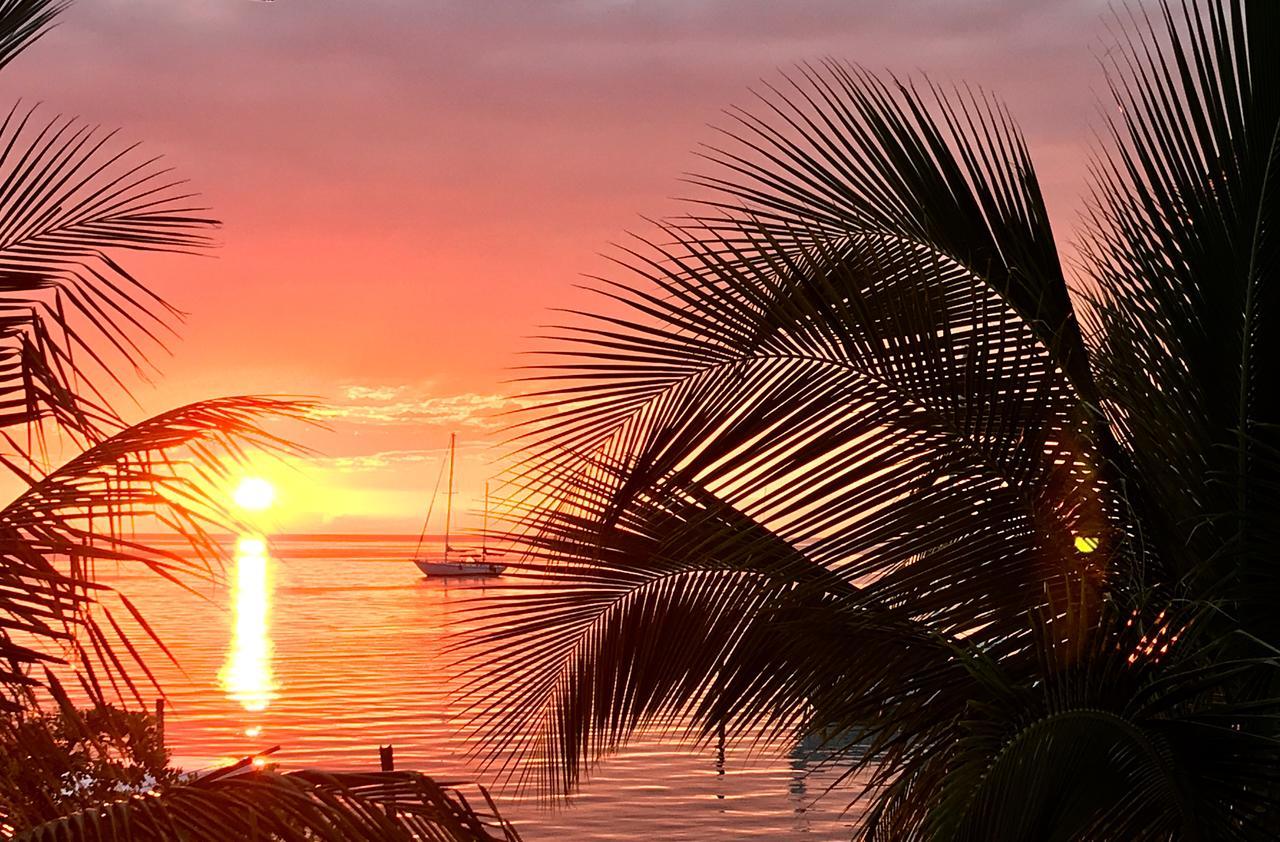 Bonita'S Lejlighed Caye Caulker Eksteriør billede